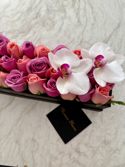 Rosas moradas, rosas hermosas con orquídeas blancas