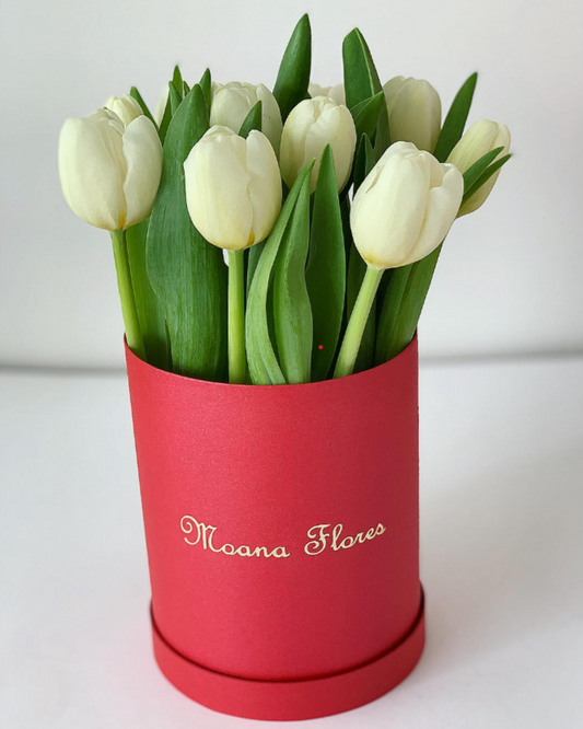 Tulipanes blancos