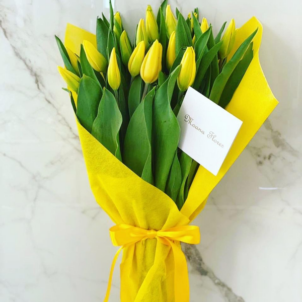 Tulipanes amarillos.