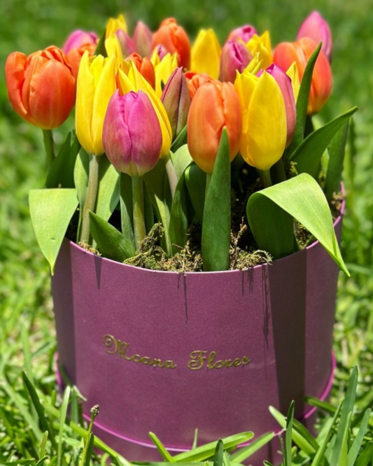 Tulipanes rosas, amarillos y naranjas