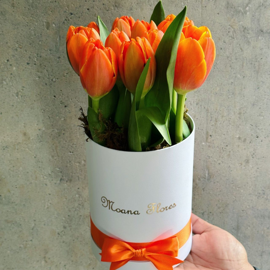 Tulipanes naranjas
