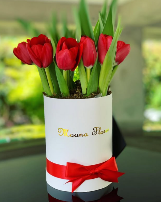 Tulipanes rojos