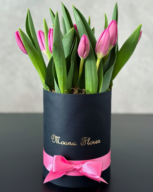Tulipan rosa