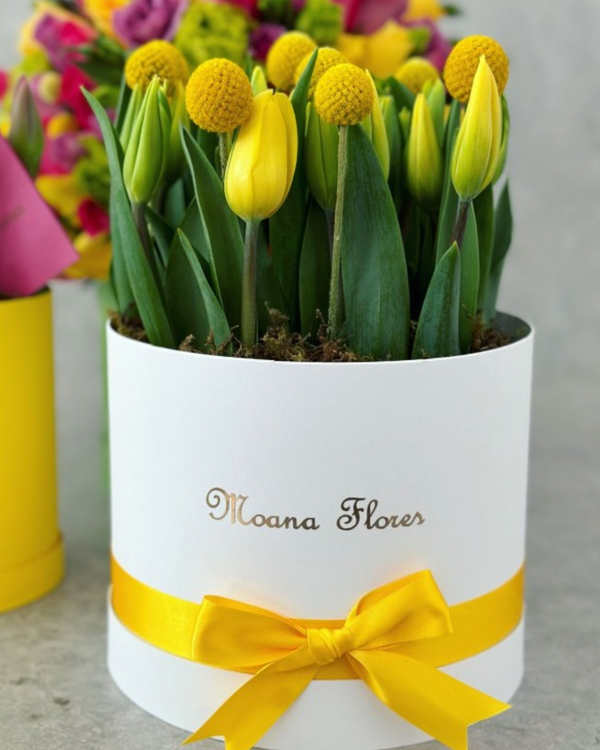 Tulipanes amarillos y craspedias.