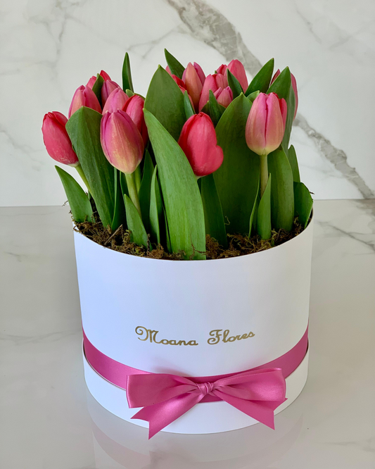 Tulipanes rosas y rojos