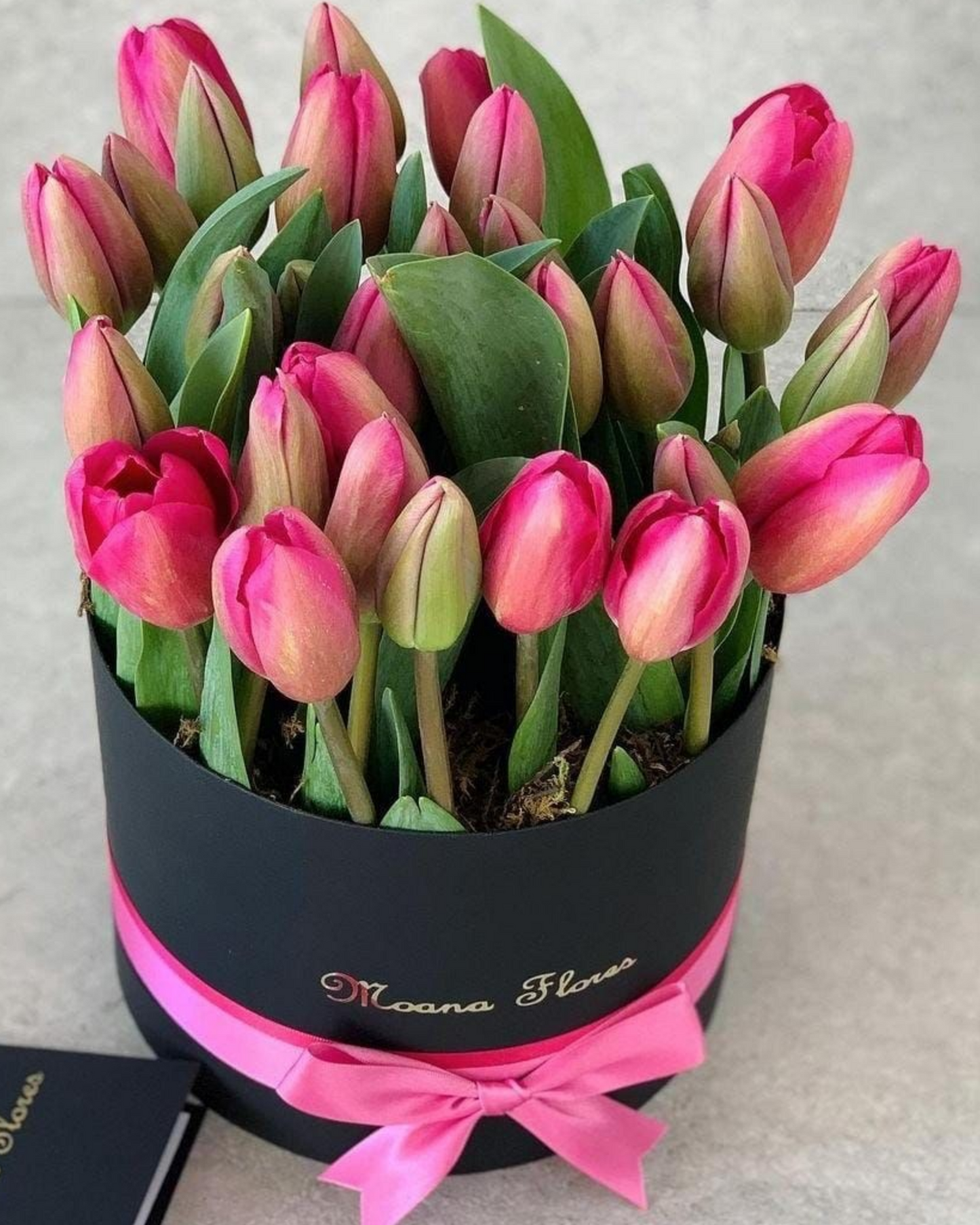 Tulipanes rosas