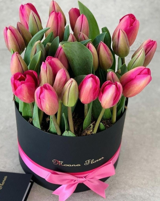 Tulipanes rosas