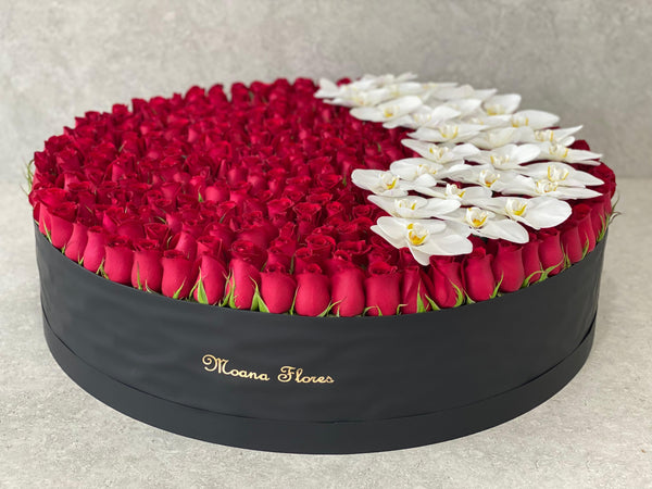 Rosas rojas con orquídeas blancas en caja circular grande.