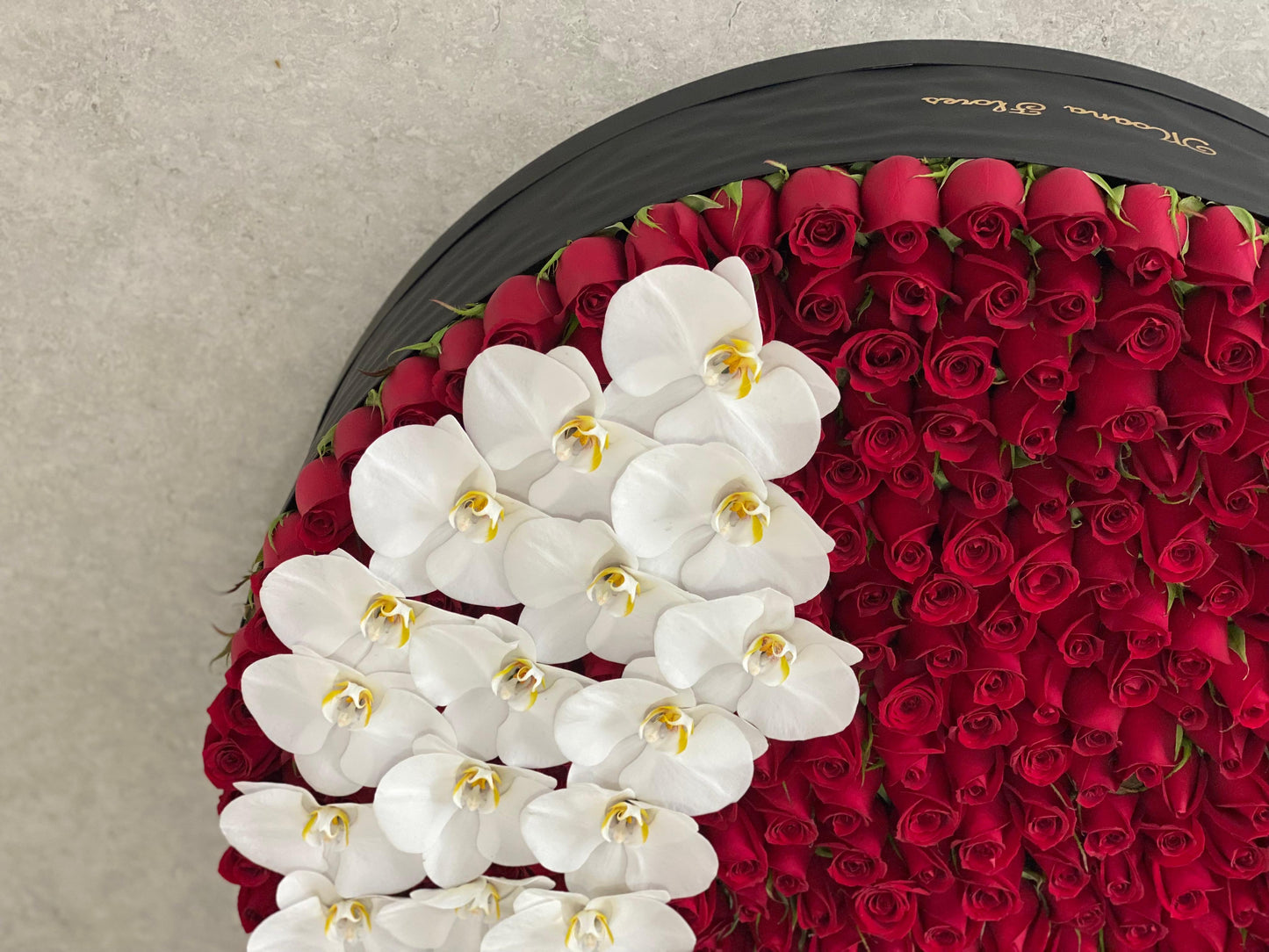 Rosas rojas con orquídeas blancas caja circular grande