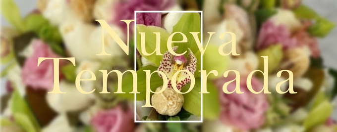 Producto 3 - Background