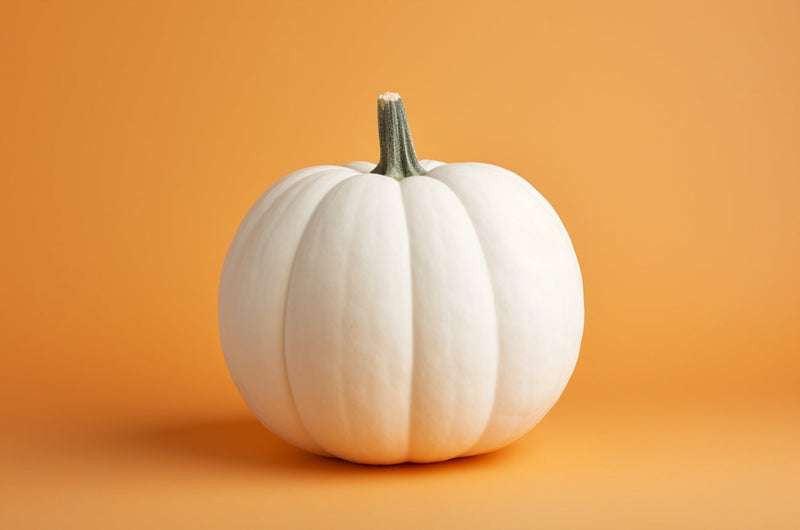 CALABAZA